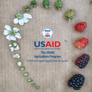 USAID-300x300